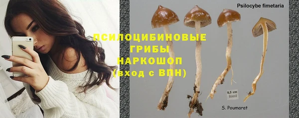 сатива Абдулино