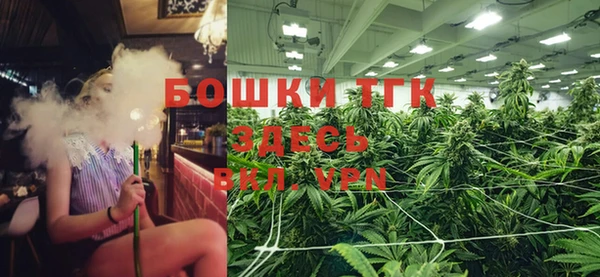 сатива Абдулино