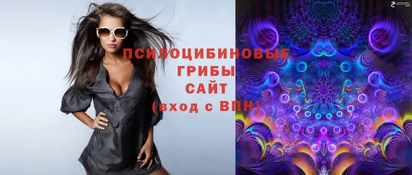 сатива Абдулино